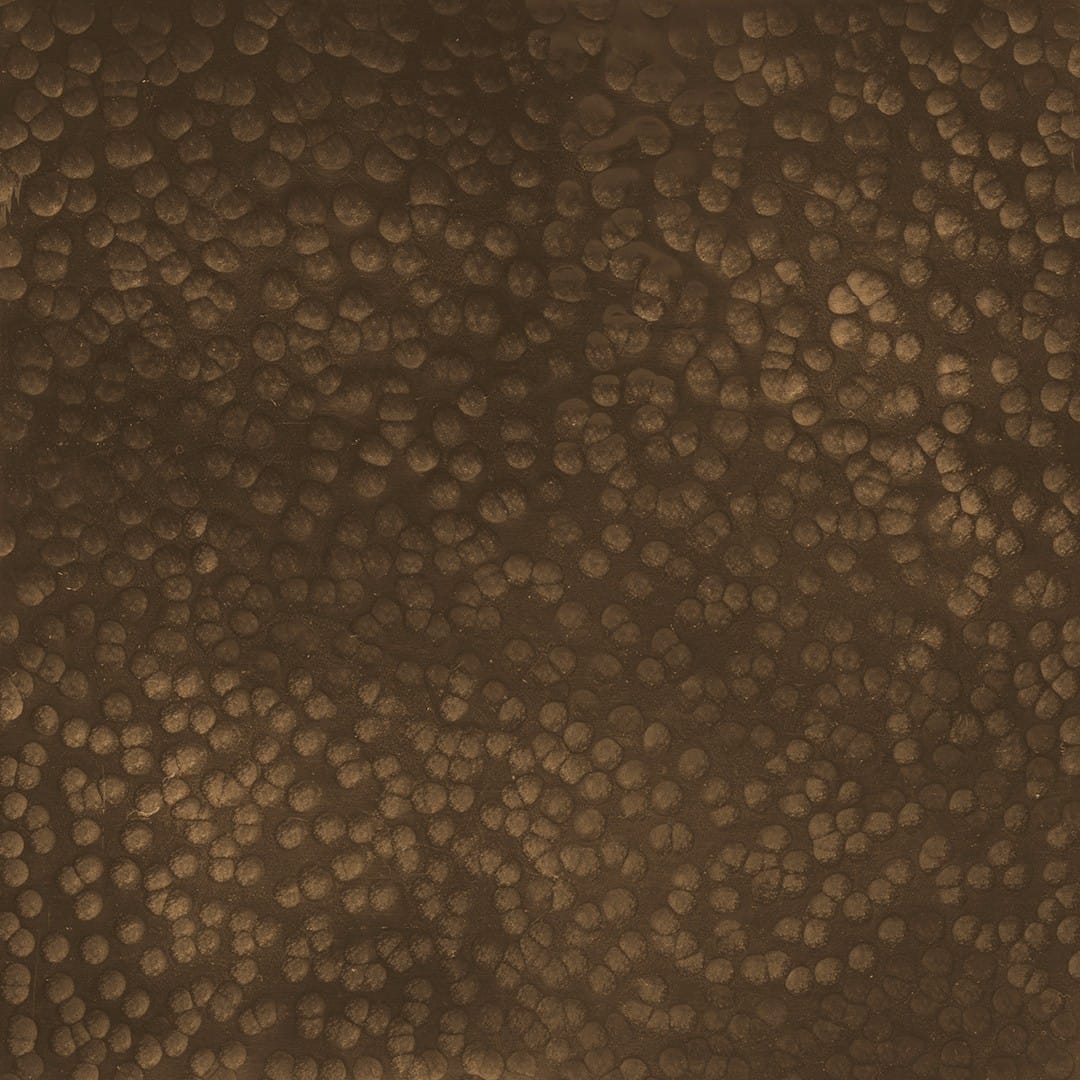 Bronze Cells